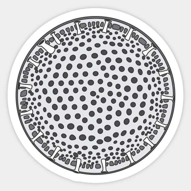 Diatom - Thalassiosira - Artwork Sticker by DiatomsATTACK